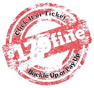 $179 fine - buckle up or pay up